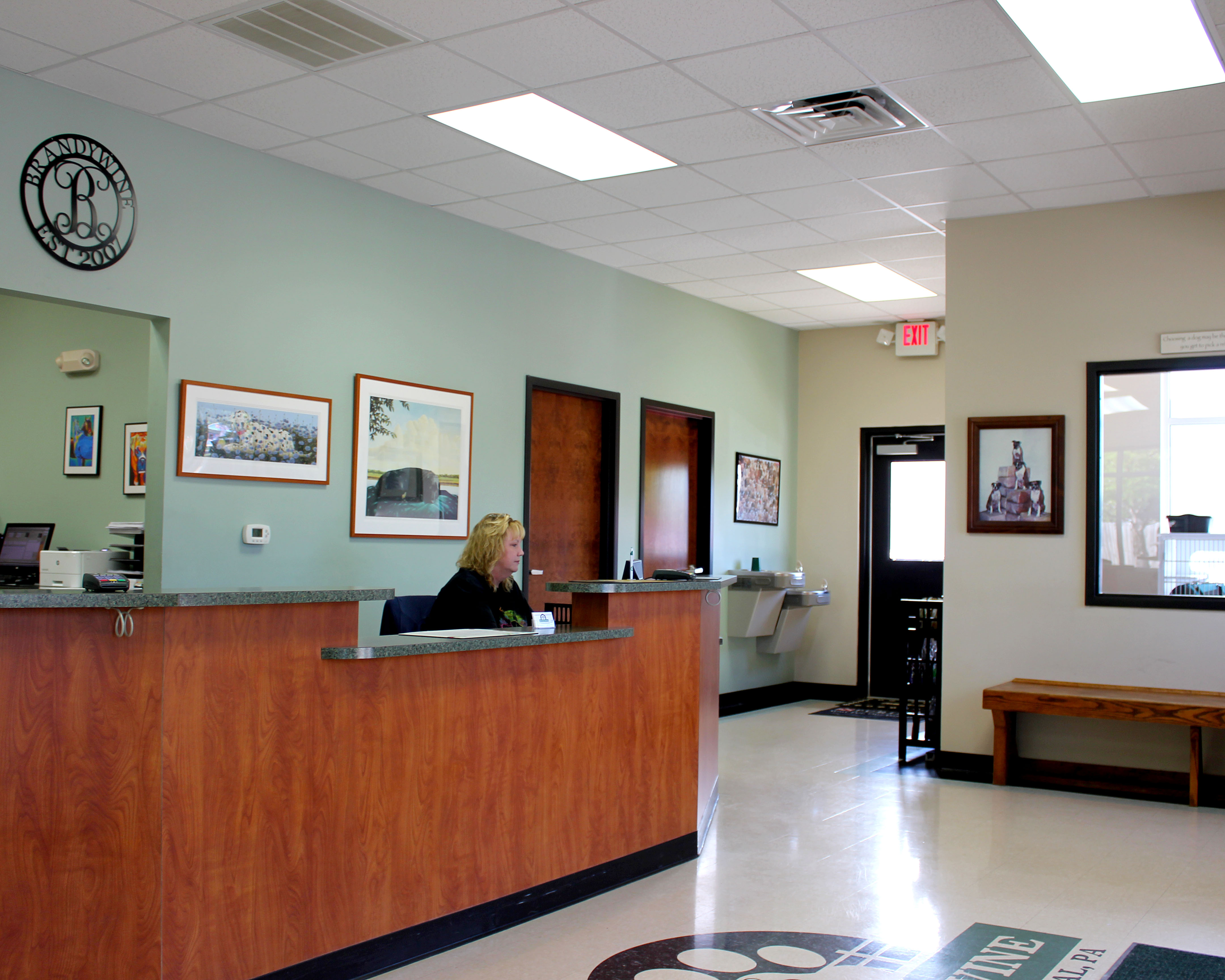 Hospital Tour – Brandywine Veterinary Hospital